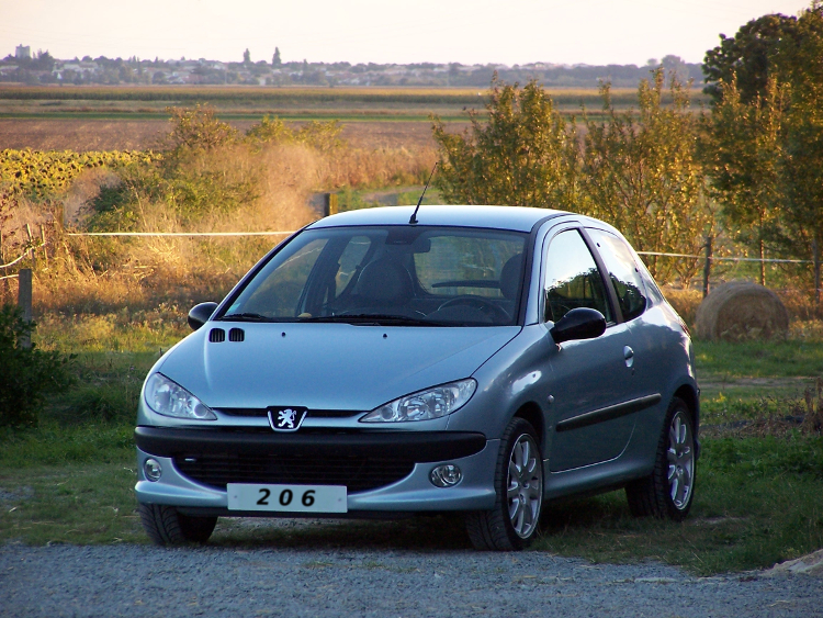 Peugeot 206 Cena wymiany filtra kabinowego