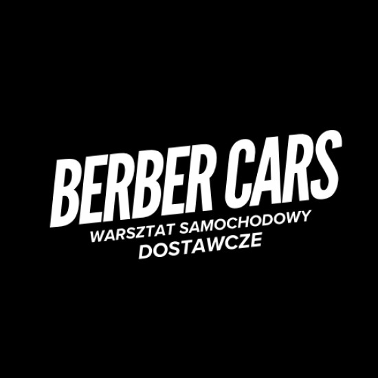 Auto Serwis / Dostawcze “BERBER CARS” Geometria 3D Katowice