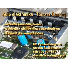 Auto Elektronika Tomasz Doering