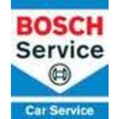 Bosch Service Motor-Pol