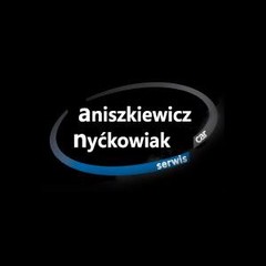 Car Serwis Audi Vw Seat Skoda  Aniszkiewicz Nyćkowiak  