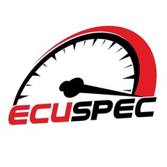 EcuSpec Łomża Chip tuning