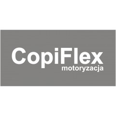 Instalacje gazowe LPG CopiFlex Mechanik Blacharz Lakiernik