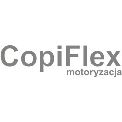 CopiFlex Mechanik Blacharz Lakiernik LPG STAG