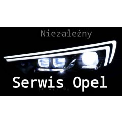 Opel Insignia - Podgrzewanie Fotela Kierowcy Wyłącza Się Po 30-50 Sekundach