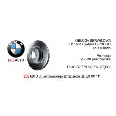 BMW Electronic Car Specialist